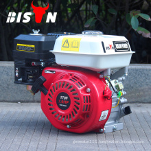 BISON BS170F 7.0HP 5.1KW Engine Gasoline BS210 Mini Engine